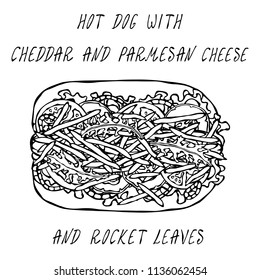 Hot Dog with Cheddar and Parmesan Cheese, Rocket, Lettuce Salad, Tomato, Cucumber, Onion Rings. Fast Food Collection. Realistic Hand Drawn High Quality Vector Illustration. Doodle Style.