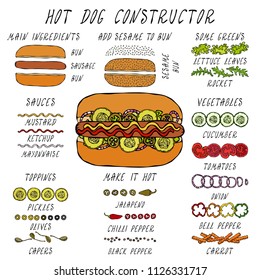 Hot Dog Constructor. Set of Fast Food Menu Ingredients and Recipe. Hand Drawn High Quality Clean Realistic Vector Illustration. Doodle Style.