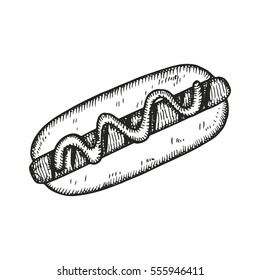 hot dog drawing. vector illustration
