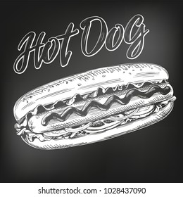 hot dog fast food, hotdog hand drawn vector illustration sketch. chalk menu. retro style