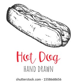 Hot dog fast food realistic hand drawn illustration, isolated vector sketched clip art.