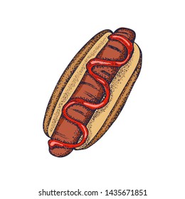 Hot dog . Fast food set. Hand drawn colorful elements . Junk food. Engraved top view illustration. Vector illustration. Background template for design. Can be use for menu, packaging.
