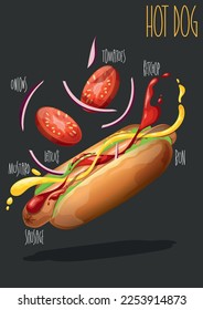 Hot dog. Fast food. Vector illustration 