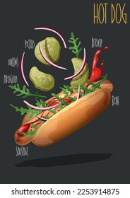 Hot dog. Fast food. Vector illustration 