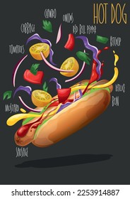 Hot dog. Fast food. Vector illustration 