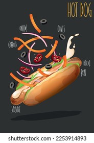 Hot dog. Fast food. Vector illustration 