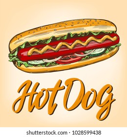 hot dog fast food,hand drawn vector illustration color realistic sketch, retro style