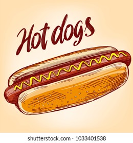 hot dog fast food,hand drawn vector illustration color realistic sketch, retro style