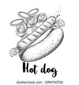 Hot dog with flying ingredients. Hand drawn sketch style fast food illustration. Best for menu designs. Grilled sausage, lettuce leaves, tomato and onion slices. Retro design.