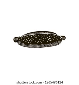 hot dog Hand-drawn vector illustration. sketch isolated on white