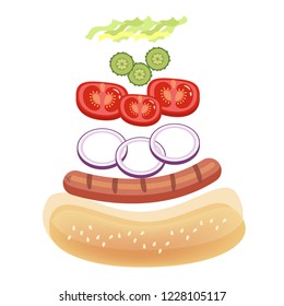 Hot dog ingredients for cooking at home. Bread bun and sausage, tomato and sauce. Isolated vector illustration