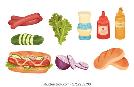 Hot Dog Ingredients with Sausages and Lettuce Vector Set