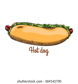Hot dog. Isolated with the inscription