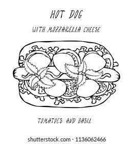 Hot Dog with Mozzarella Cheese, Basil, Lettuce Salad, Tomato. Fast Food Collection. Realistic Hand Drawn High Quality Vector Illustration. Doodle Style.