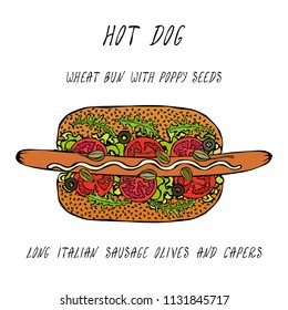 Hot Dog on a Bun with Poppy Seeds. Long Italian Sausage, Olives, Capers, Rocket, Lettuce Salad. Fast Food Collection. Realistic Hand Drawn High Quality Vector Illustration. Doodle Style.