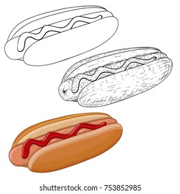 Hot dog. Outline sketch and colored doodle. Vector illustration isolated on white background