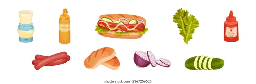 Hot Dog Sandwich Ingredients with Sausage, Bun, Cucumber and Onion Vector Set