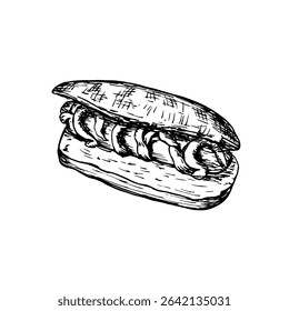 Hot dog sketch drawing illustration, fast food hand-drawn vector clipart. Sausage in a bread bun  in engraving style