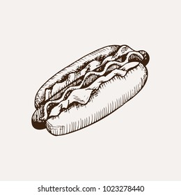 hot dog sketch. hand drawn illustration of junk food