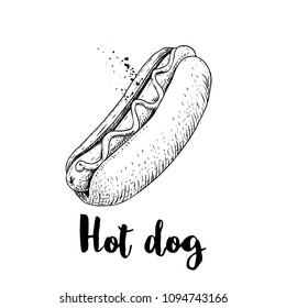 Hot dog sketch hand drawn. Fast food retro illustration. Fresh bun with grilled sausage and mustard or ketchup. Great for menu designs, posters. Isolated on white background.