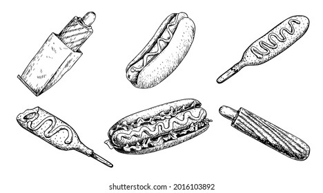 Hot dog in sketch style collection. Classic, french hot dog and corn dog. Hand drawn vintage style. Best for menu and packaging. Vector illustrations.