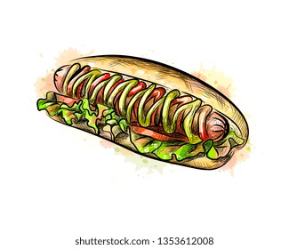Hot dog from a splash of watercolor, hand drawn sketch. Vector illustration of paints