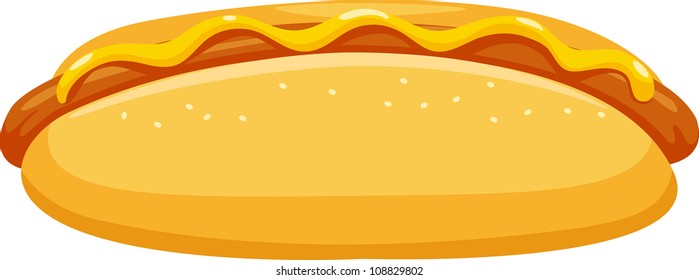 hot dog vector illustration