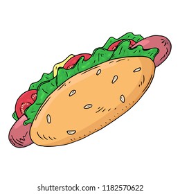 Hot dog. Vector illustration of fast food sausage with a bun. Hand drawn hot dog with a sausage.