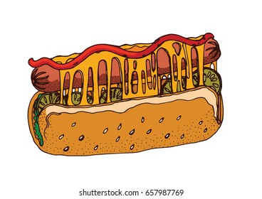 hot dog vector illustration, freehand drawing