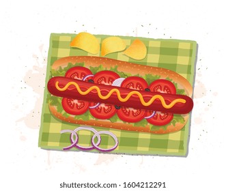 hot dog vector illustration with potato chips and onions from the top angle
