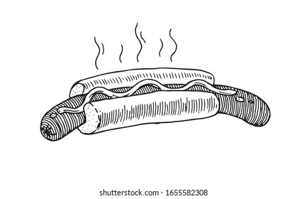 Hot dog vector images. Vector graphics for labels, menus, packaging design, advertising, interior designs and food service signage