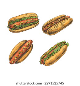 Hot dogs colored set. Hand-drawn sketch illustrations of hot dogs isolated on white background. Vintage illustration. Element for the design of labels, packaging and postcards.