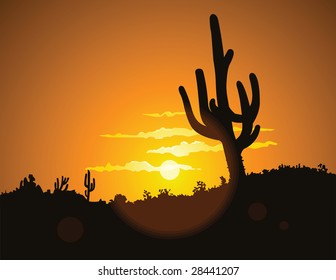 The hot glowing sun sets behind a hill silhouetting the tall desert cactus.