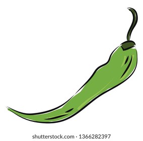 Vector de ilustración de pimienta verde caliente sobre fondo blanco