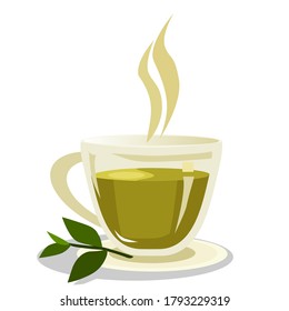 Hot green tea in a clear glass There are tea leaves placed on the side.Vector illustration isolated on white background.