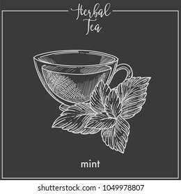 Hot herbal tea with fresh mint in transparent cup