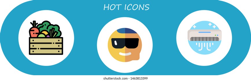 hot icon set. 3 flat hot icons.  Simple modern icons about  - vegetables, cool, air conditioner