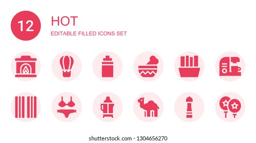 hot icon set. Collection of 12 filled hot icons included Fireplace, Hot air balloon, Isotonic, Bowl, Fries, Bacon, Bikini, Coffee, Dromedary, Pepper, Coffee maker, Balloon
