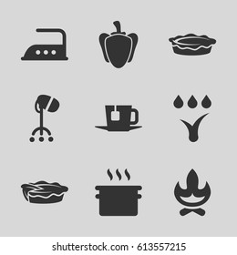 Hot icons set. set of 9 hot filled icons such as hair dryer, iron, pie, pepper, tea, watering system, bonfire