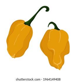 Hot Mexican pepper. Vector colorful illustration isolated on white background. Spicy slices of pepper. Vector stock illustration.