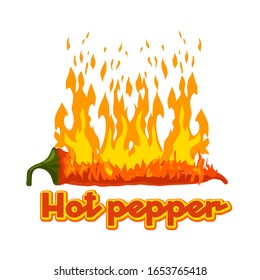 Hot pepper burns with fire. Isolated vector logo.