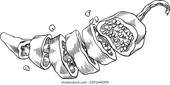 Hot pepper cut into rings. Monochrome cross-sectional drawing of a pepper. Food image for signs, menus, tableware printing and other purposes. Pepper seeds and pulp. For restaurants, grocery stores