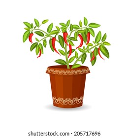 Chili Pot High-Res Vector Graphic - Getty Images