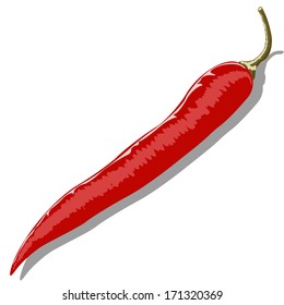 Hot pepper illustration