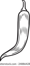 Hot pepper line drawing vector illustration.