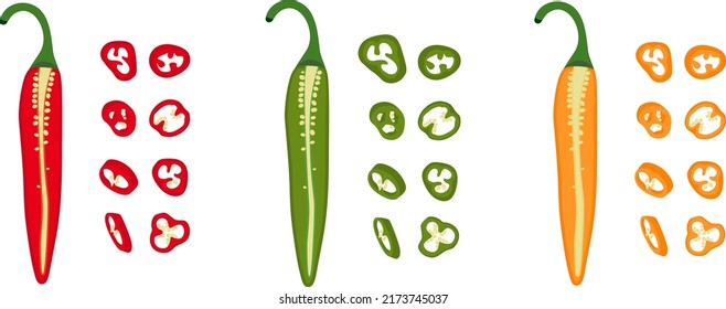 Hot pepper vector illustration. Chilli. Cayenne pepper. Piece of pepper, pieces with seeds, circles, chopped pepper with seeds.