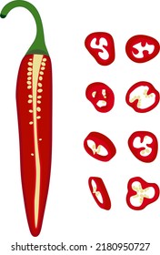 Hot pepper vector illustration. Hot pepper. Chilli. Cayenne. Piece of pepper, pieces with seeds, circles, chopped pepper with seeds.