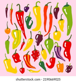 Hot peppers colorful set. Spicy flat hand drawn peppers - chili, habanero, cayenne. Cute cooking print with mexican jalapeno, padron, serrano paprika.