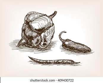Hot peppers sketch style vector illustration. Old engraving imitation. 