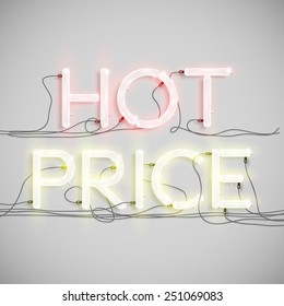 "Hot Price" made by neon type, vector